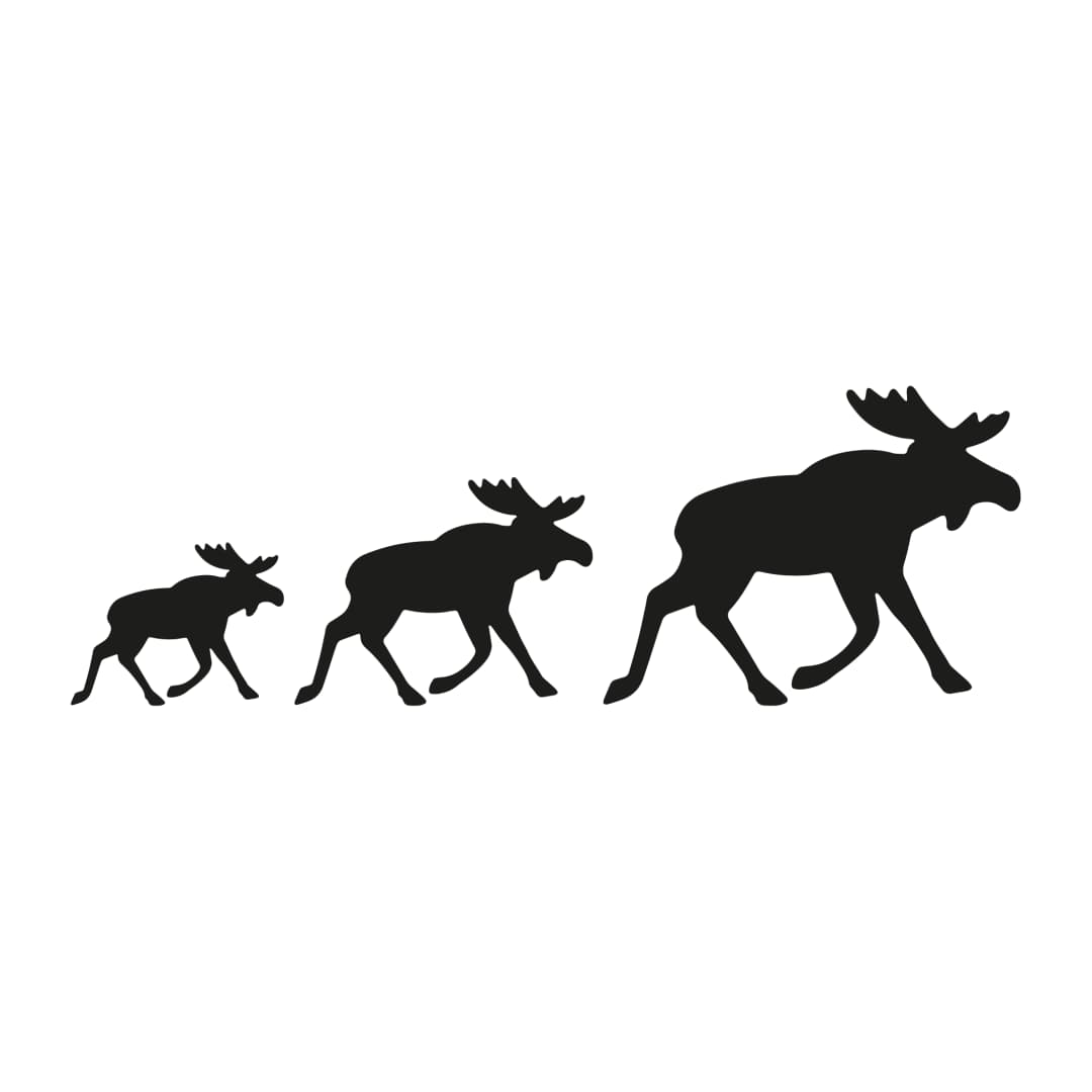 Web Moose Evolution